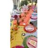 Fun Express Bright Round Fringe Placemats – Set of 12 – Tropical and Luau Party Supplies