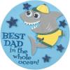Fun Express Father’s Day Shark Foam Magnet Craft Kit – Creative Craft for Kids to Make Personalized Gifts – Fun Father’s Day Home Activity for Kids & Family – Perfect for Celebrations – 12 Pieces