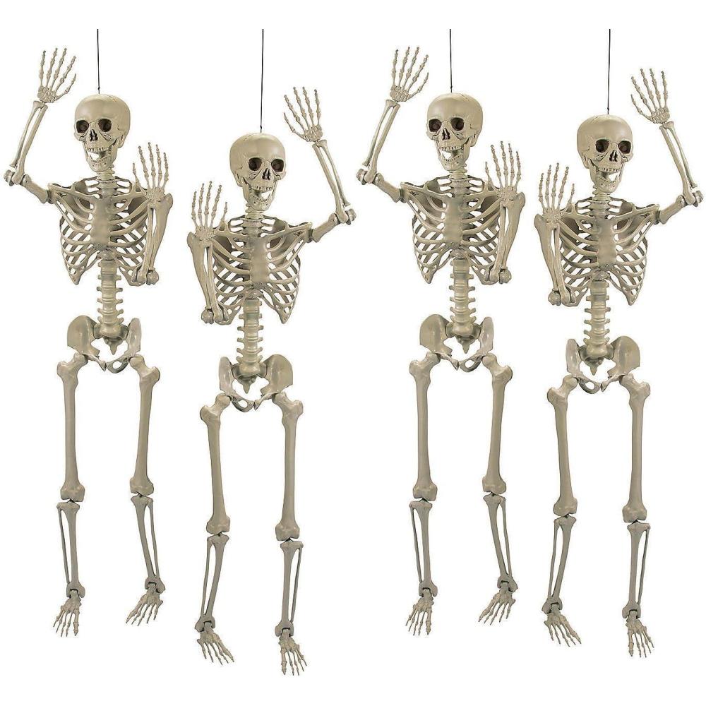 imageFun Express 5 Ft LifeSize Posable Skeleton Halloween Decorations Home Decor Set for Spooky Celebrations ampamp Halloween Parties Fun ampamp Unique 4Piece