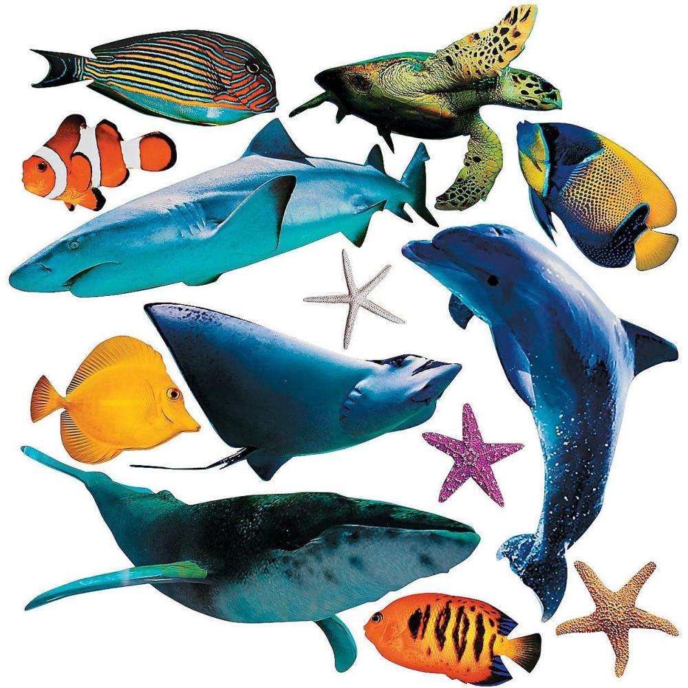 imageFun Express Realistic Sea Ocean Animal Cardboard Cutouts 13 Piece Set Including Sharks Whales Turtles Ocean Party Decor and Classroom Wall Decorations  VBS Vacation Bible School SuppliesDecor