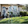 Fun Express 5 Ft. Life-Size Posable Skeleton Halloween Decorations Home Decor Set for Spooky Celebrations & Halloween Parties – Fun & Unique – 4-Piece
