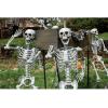 Fun Express 5 Ft. Life-Size Posable Skeleton Halloween Decorations Home Decor Set for Spooky Celebrations & Halloween Parties – Fun & Unique – 4-Piece