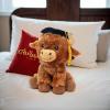 Fun Express Graduation Mortarboard Stuffed Highland Cow