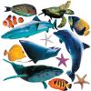 Fun Express Realistic Sea Ocean Animal Cardboard Cutouts (13 Piece Set Including Sharks, Whales, Turtles) Ocean Party Decor and Classroom Wall Decorations – VBS Vacation Bible School Supplies/Decor