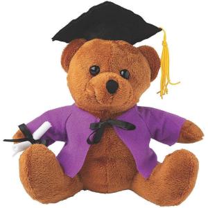 Fun Express Personalized Graduation Stuffed Bear – Purple – Toys – 1 Piece