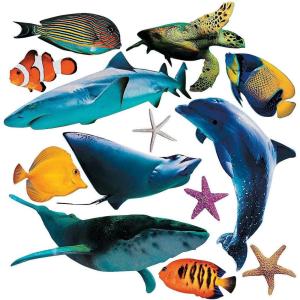 Fun Express Realistic Sea Ocean Animal Cardboard Cutouts (13 Piece Set Including Sharks, Whales, Turtles) Ocean Party Decor and Classroom Wall Decorations – VBS Vacation Bible School Supplies/Decor