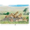 Fun Express African Safari Vbs Lion Backdrop – Party Decor – VBS Vacation Bible School Supplies/Decor – 3 Pieces