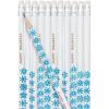 Fun Express Personalized Pencils (Gold), 24 Pieces, Teaching, Writing, Branded, Office Supplies(White)