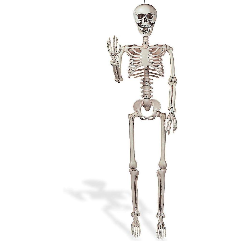 image3 Foot Posable Human Skeleton  Halloween Decorations
