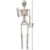 3 Foot Posable Human Skeleton – Halloween Decorations