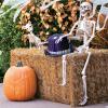 3 Foot Posable Human Skeleton – Halloween Decorations