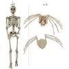 Fun Express Skeletons Walking Pet Spiders Halloween Decorating Kit 4 Pc