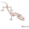 Skeleton Crocodile or Alligator (mouth can pose open or shut) Halloween Home Decoration