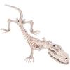 Skeleton Crocodile or Alligator (mouth can pose open or shut) Halloween Home Decoration