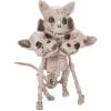 Three-Headed Dog Skeleton Halloween Decoration – Home Decor – 1 Piece
