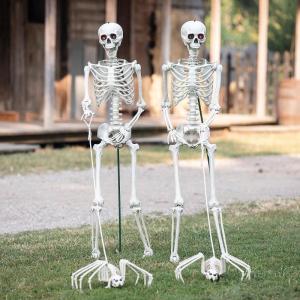 Fun Express Skeletons Walking Pet Spiders Halloween Decorating Kit 4 Pc