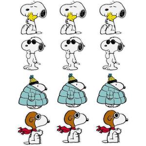 7″ x 8″ Peanuts Party Snoopy & Woodstock Cutouts – 12 Pc.