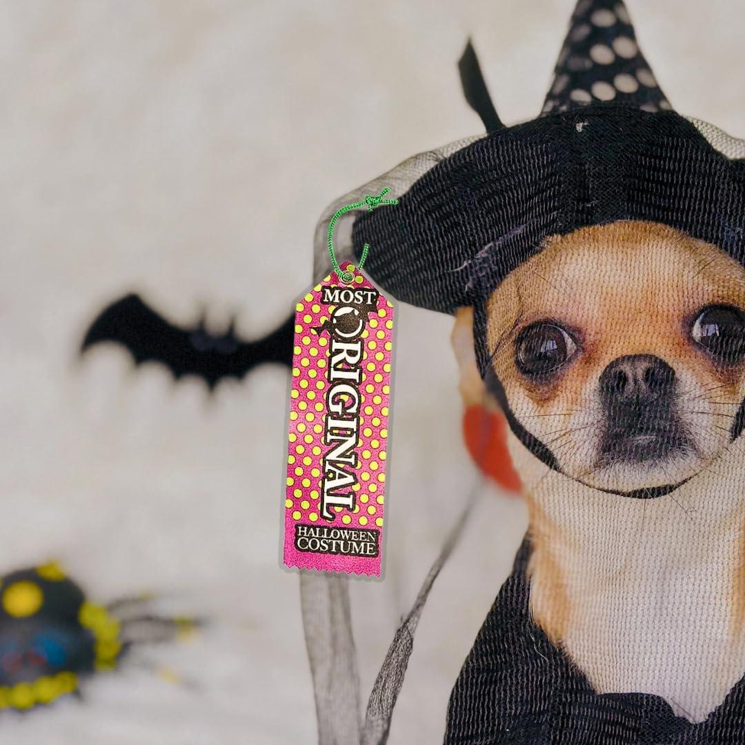imageFun Express Halloween Party Costume Contest Award Prize Ribbons 12 Pieces