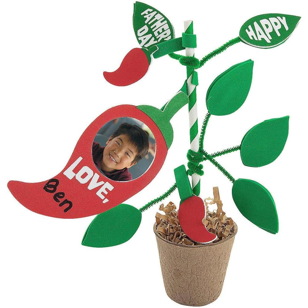 imageGrowing Pepper Fathers Day Craft Kit Makes 6