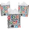 Fun Express Cheers To The Grad Gift Bags with Handles – Set of 12 – Graduation Party Supplies