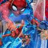 Fun Express Spider-Man Red & Blue Trunk-or-Treat Decorating Kit – 33 Pieces