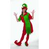 Fun Express Women’s Elf Costume for Christmas – Premium Velour Holiday Dress with Hat & Shoe Covers | Perfect for Christmas Parties, Parades & Festive Events | Adult One Size Fits Most