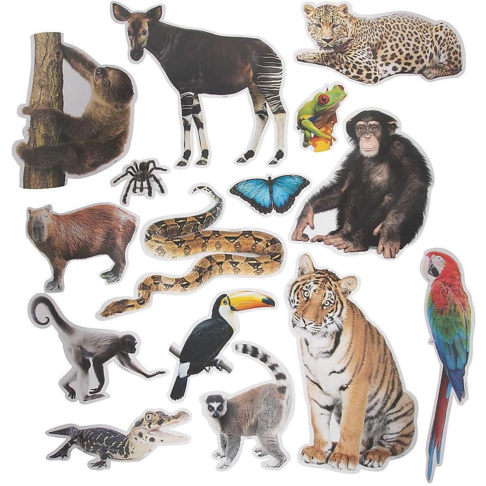 imageFun Express Jumbo Realistic Rainforest Cutouts  VBS Vacation Bible School SuppliesDecor  Educational and Learning Activities for Kids  15 Pieces