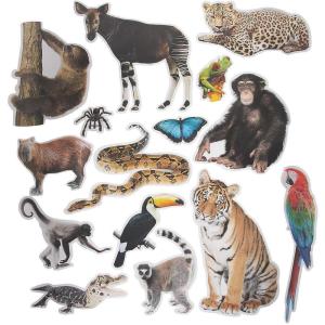 Fun Express Jumbo Realistic Rainforest Cutouts – VBS Vacation Bible School Supplies/Decor – Educational and Learning Activities for Kids – 15 Pieces