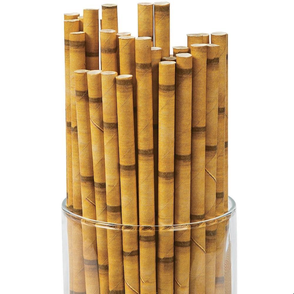 imageFun Express BAMBOO PAPER STRAWS 24PC  Party Supplies  VBS Vacation Bible School SuppliesDecor  24 Pieces