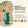 Fun Express BAMBOO PAPER STRAWS (24PC) – Party Supplies – VBS Vacation Bible School Supplies/Decor – 24 Pieces