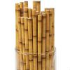Fun Express BAMBOO PAPER STRAWS (24PC) – Party Supplies – VBS Vacation Bible School Supplies/Decor – 24 Pieces