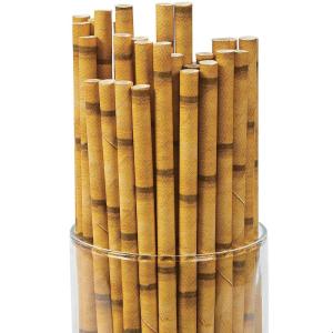 Fun Express BAMBOO PAPER STRAWS (24PC) – Party Supplies – VBS Vacation Bible School Supplies/Decor – 24 Pieces