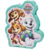 14″ x 17″ Paw Patrol Everest, Liberty & Skye Tissue Paper Piñata Decoration
