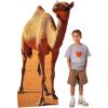 39″ x 71″ Egyptian VBS Camel Life-Size Cardboard Cutout Stand-Up, Vacation Bible School Supplies