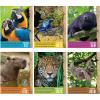 Fun Express Jungle VBS Classroom Poster Set – 6 Piece, Vacation Bible School 2024