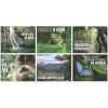 Fun Express Rainforest Poster Set – Educational and Learning Activities for Kids – VBS Vacation Bible School Supplies/Decor – 6 Pieces