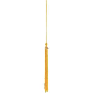 Fun Express 2021 Graduation Yellow Tassels Apparel Accessories for Caps Gowns & Graduation Ceremonies – Perfect for Photo Opportunities Class of 2021 Celebrations – 12 Pieces