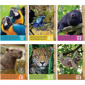 Fun Express Jungle VBS Classroom Poster Set – 6 Piece, Vacation Bible School 2024