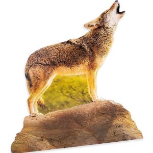 Fun Express Southwest VBS Coyote Stand-Up – VBS Vacation Bible School Supplies/Decor
