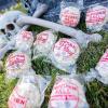Bulk 100 Piece Kathy Kaye Sweet & Salty Popcorn Balls, Great for Work Gatherings, Fundraisers, Birthday and Other Grand Event Treats