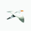Fun Express Seagulls Hanging Decorations (12 Foam Birds with Hangers) Great for Ocean Party and VBS Decor – VBS Vacation Bible School Supplies/Decor