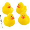 Fun Express Micro Rubber Ducks, 24 Pieces – Yellow