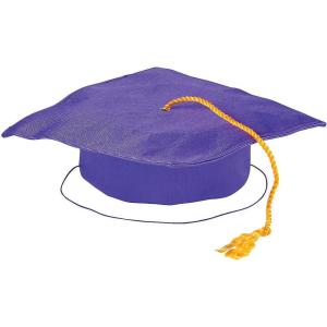 Fun Express Kids’ Hat(Purple)