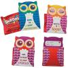 Fun Express – Valentine Owl Skittle Kits for Valentine’s Day – Edibles – Soft & Chewy Candy – 28 Pieces