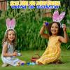 Blue Plastic Eggs – Bulk Set of 144 – Easter Egg Hunt and Party Supplies