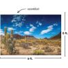 Fun Express – Desert Cactus Backdrop Banner for Cinco de Mayo – Party Decor – Wall Decor – Preprinted Backdrops – Cinco de Mayo – VBS Vacation Bible School Supplies/Decor – 3 Pieces
