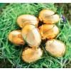 Metallic Golden Easter Eggs, Pack of 12