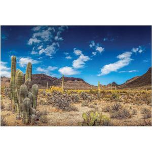 Fun Express – Desert Cactus Backdrop Banner for Cinco de Mayo – Party Decor – Wall Decor – Preprinted Backdrops – Cinco de Mayo – VBS Vacation Bible School Supplies/Decor – 3 Pieces