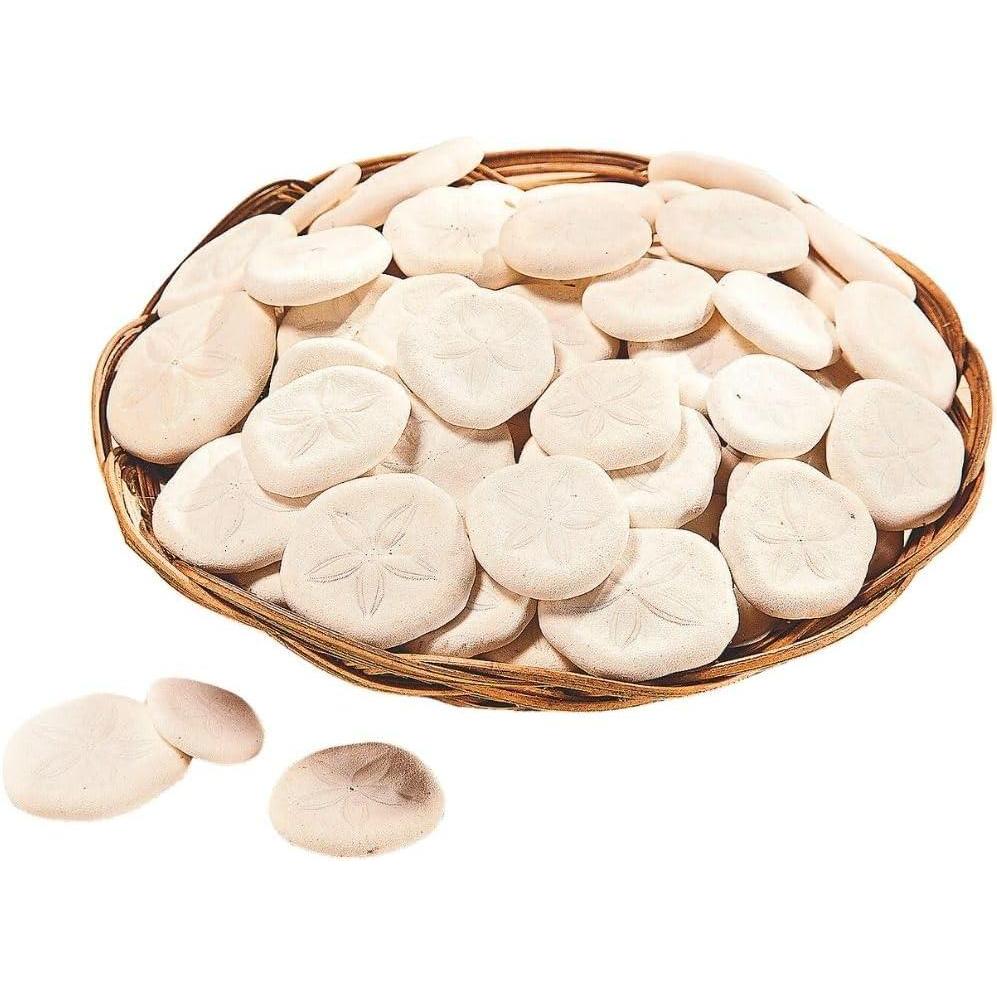 image:imageFun Express Real Sand Dollars Plus Decorative Basket 50 and Dollars Sea and Ocean Home Dcor VBS Vacation Bible School SuppliesDecor