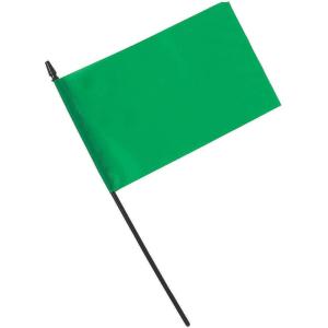Fun Express Green Team Spirit Flags – Vibrant Party Decorations Tailgates School Events Sporting Matches & Celebrations – Perfect for Showing School Spirit Team Pride and Special Occasions – 24 Pieces